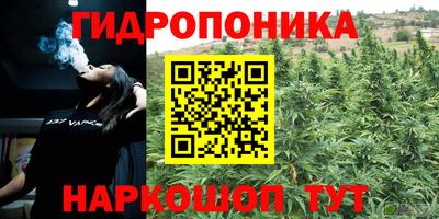 амф Малгобек