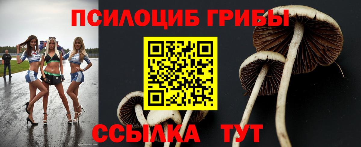 Калининград  Галлюциногенные грибы Magic Shrooms  Вход с VPN 