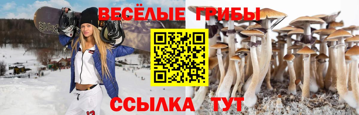Псилоцибиновые грибы мухоморы Калининград